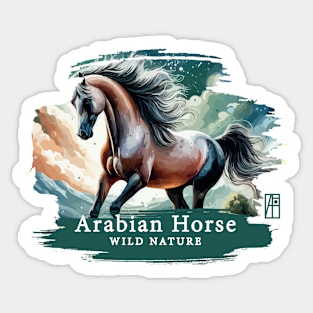 Arabian Horse - WILD NATURE - HORSE -7 Sticker